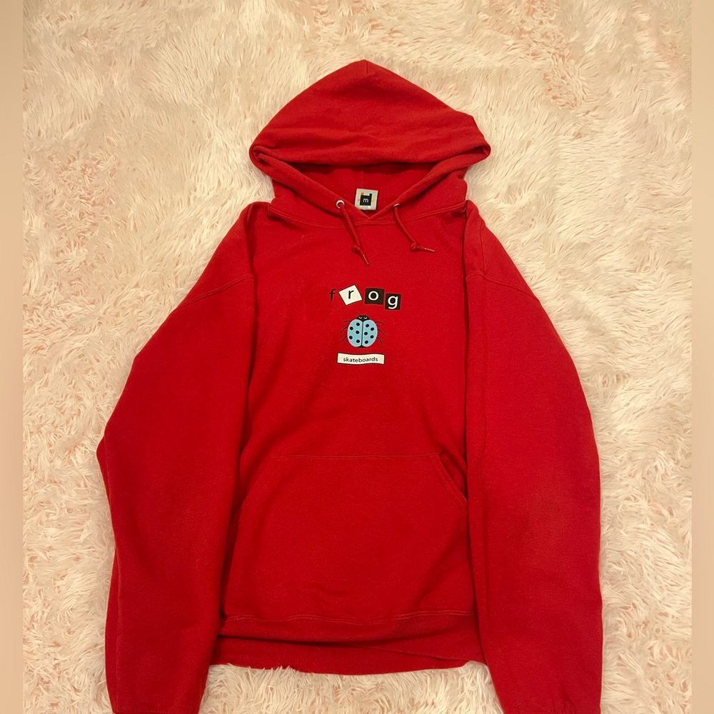 Frog Ladybug Hoodie *PERFECT CONDITION*
